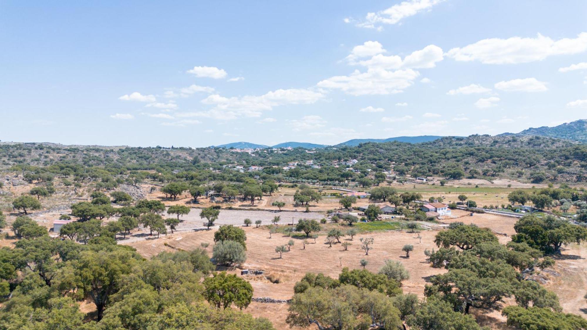 Casas De Marvao - Casa Do Ribeiro Villa Eksteriør billede